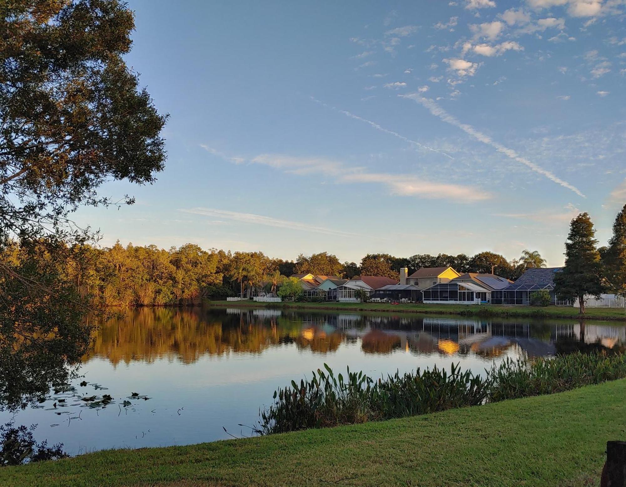 Cozy And Conveniently Located Pool Home With Free Wifi Tampa Exterior photo