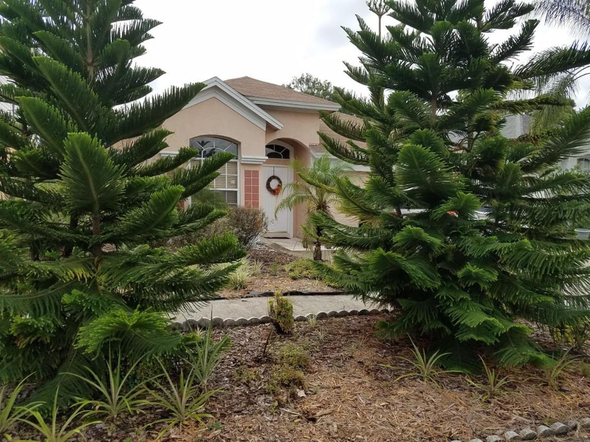Cozy And Conveniently Located Pool Home With Free Wifi Tampa Exterior photo